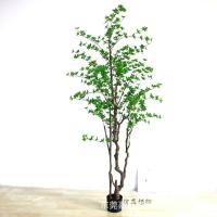 uploads/erp/collection/images/Home Garden/dgjiawang/XU0612979/img_b/XU0612979_img_b_4